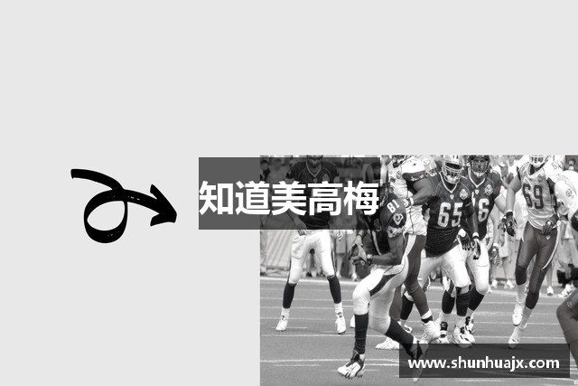 知道美高梅